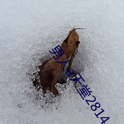 尊龙凯时·(中国)官方网站