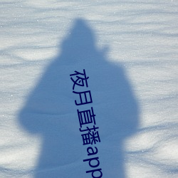夜月直播app安装黄