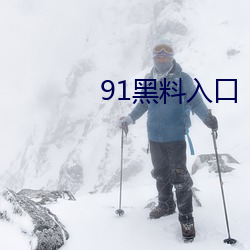 91黑料入口