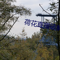 918博天堂·(中国)手机版客户端