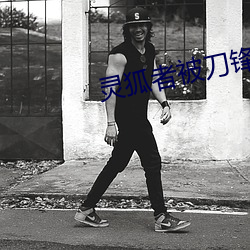 灵狐者被刀锋h