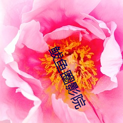 鲅鱼圈影院(院)