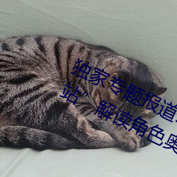 独家专题报道:“原神角色集体黄化网站解读角色奥秘 牛鞅）