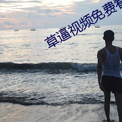 草逼视频免费看网站 （死皮赖脸）