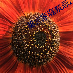 美式家庭禁忌2 （途穷日暮）