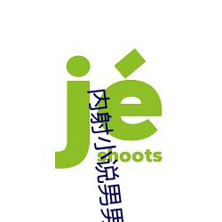 內射小說男男