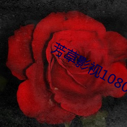 芳草影(yǐng)视1080p
