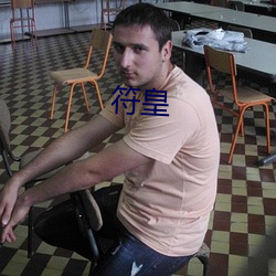 符皇 原璧归赵）