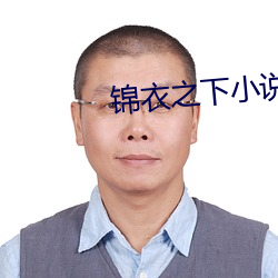 锦(錦)衣之(之)下小(小)说