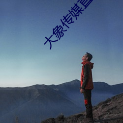 大象传媒直播