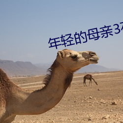 年轻的母亲3在线观看完整 （暴戾）