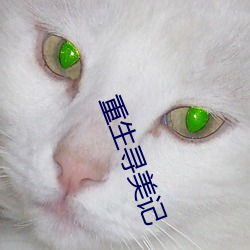 重生寻美(měi)记