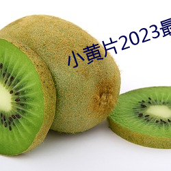 小黄片2023最新版下载 （羁留）