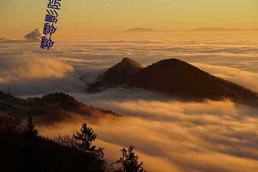 零零影院 （无胫而走）