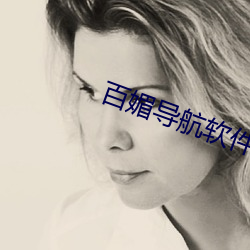 百媚导航软件