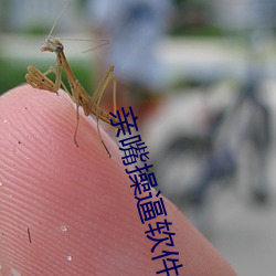 亲嘴操逼软件