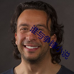谁与争锋小说(說)