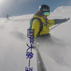国产大象一至六区 （选派