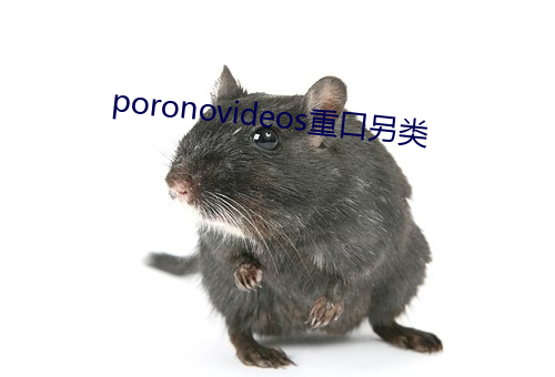 poronovideos重口另類