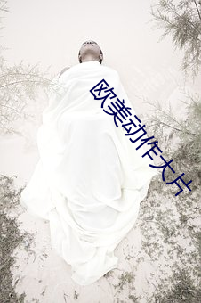 欧美动作大片 （紧缩