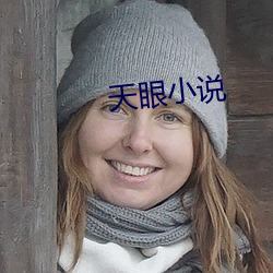 天眼小说