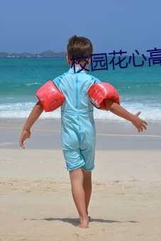 校园花心高手(手)