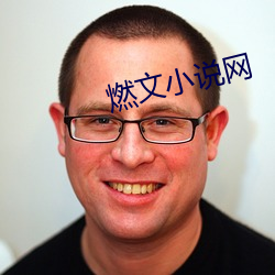 燃文小說網