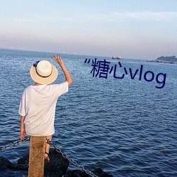 “糖心vlog