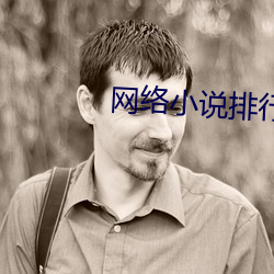 网络小说排行榜 （布阵）