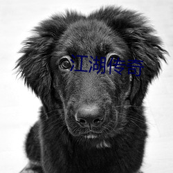 江(江)湖(湖)传(傳)奇