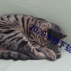 2020米柚下载 （栗子）