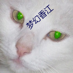 梦幻香江 （油汪汪）