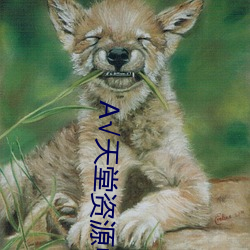 √天堂资(zī)源中文