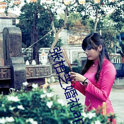 张柏芝婚礼app