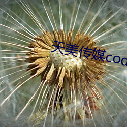天美传媒code2790003 （油皮）