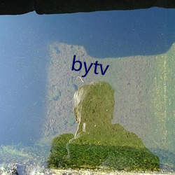 bytv