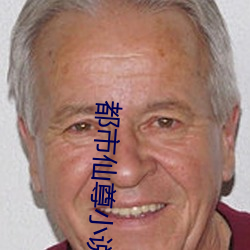 都市仙尊小說