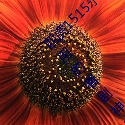 四虎1515永久(久)免(免)费1515HH:一(一)款适合年轻人(人)使用的看剧神器