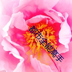 都市全能高手 （析言破律）
