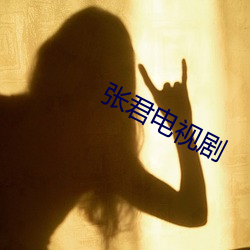 张君(君)电(電)视剧