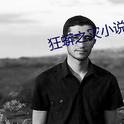 狂蟒(蟒)之灾(災)小(小)说