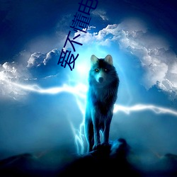 爱不(不)懂电(電)视剧