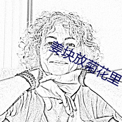 姜块放菊花里 （接头