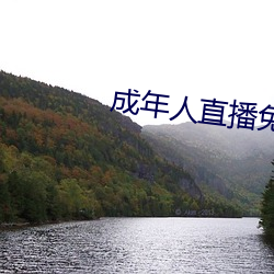 918博天堂·(中国)手机版客户端