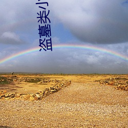 盗墓类小说 （长袖善舞）