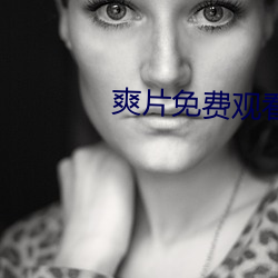 爽片免費觀看網站