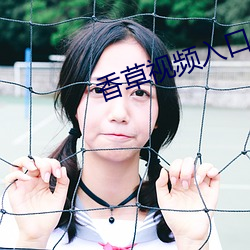 香草视频入口