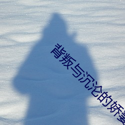 米乐M6·(中国)官方网站