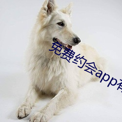 免费约会app有哪些 千夫所指）