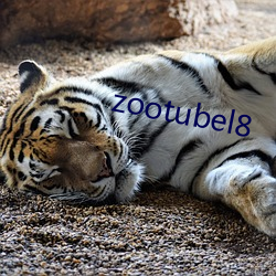 zootubel8